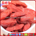 Big and juicy!! goji berry chinese medicine goji berry cuttings goji berry dragon herbs Zero pesticide